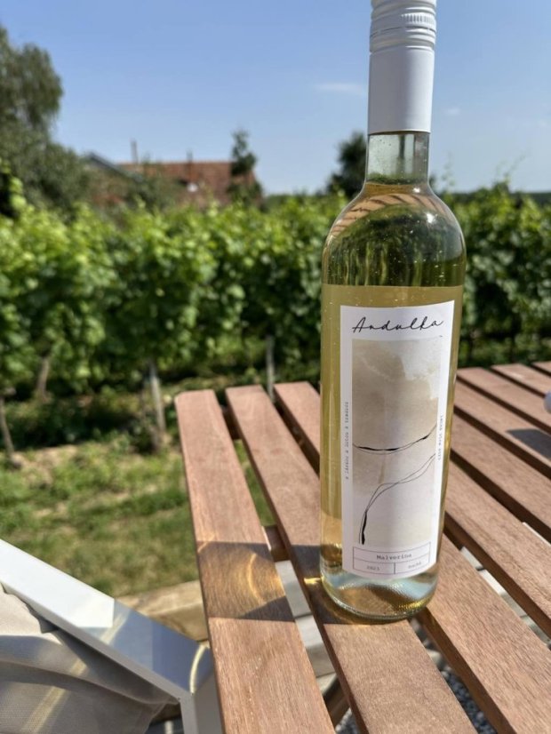 Víno Malverina suché 2024