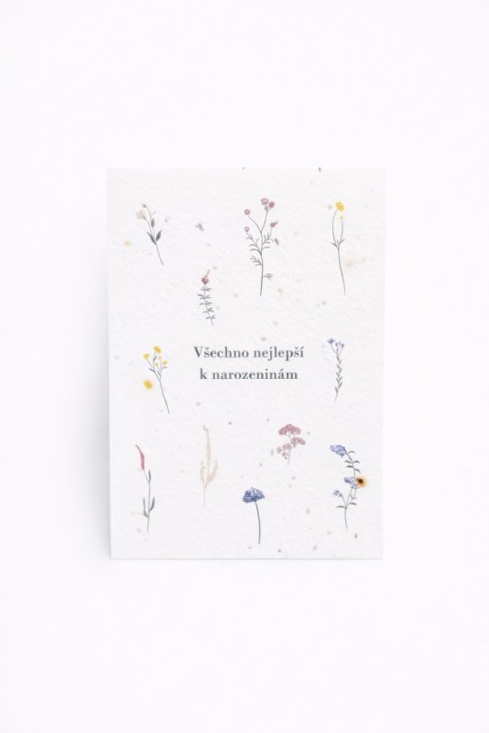 Prianie č.1, Všetko najlepšie k narodeninám