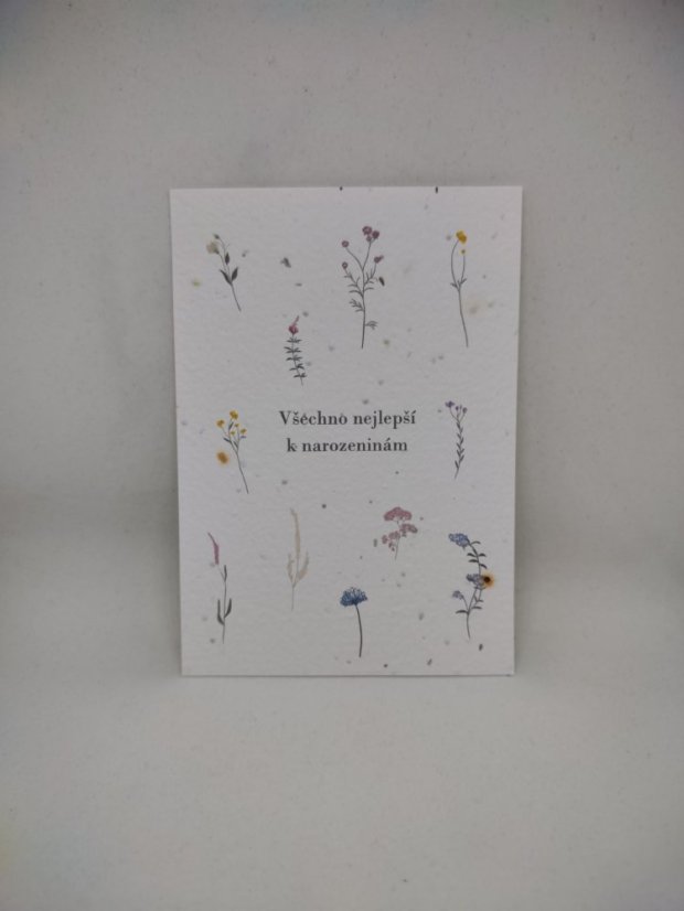 Prianie č.1, Všetko najlepšie k narodeninám