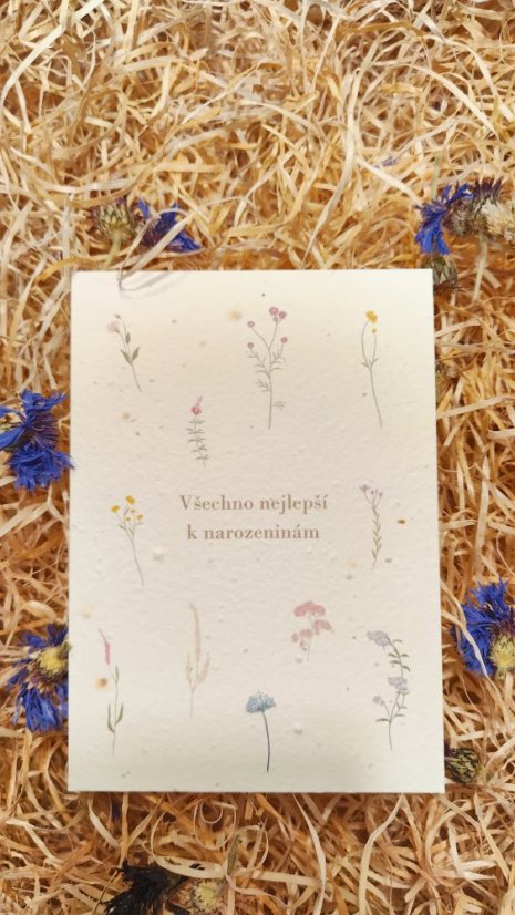 Prianie č.1, Všetko najlepšie k narodeninám
