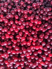 Višňovice - kupáž z nejlepších destilátů 48% 0,5l