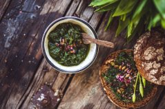 BIO Pesto z medvedieho cesnaku