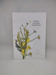 Priania, krásne slnečné narodeniny