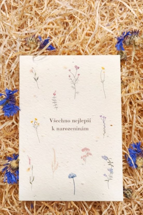 Prianie č.1, Všetko najlepšie k narodeninám